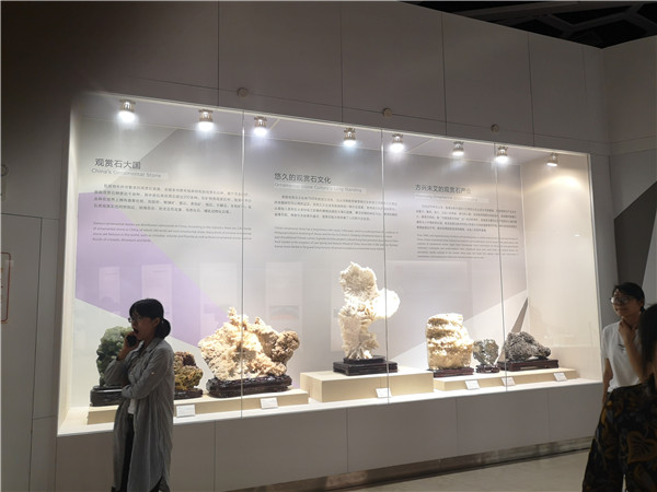深圳大鵬地質公園博物館展柜